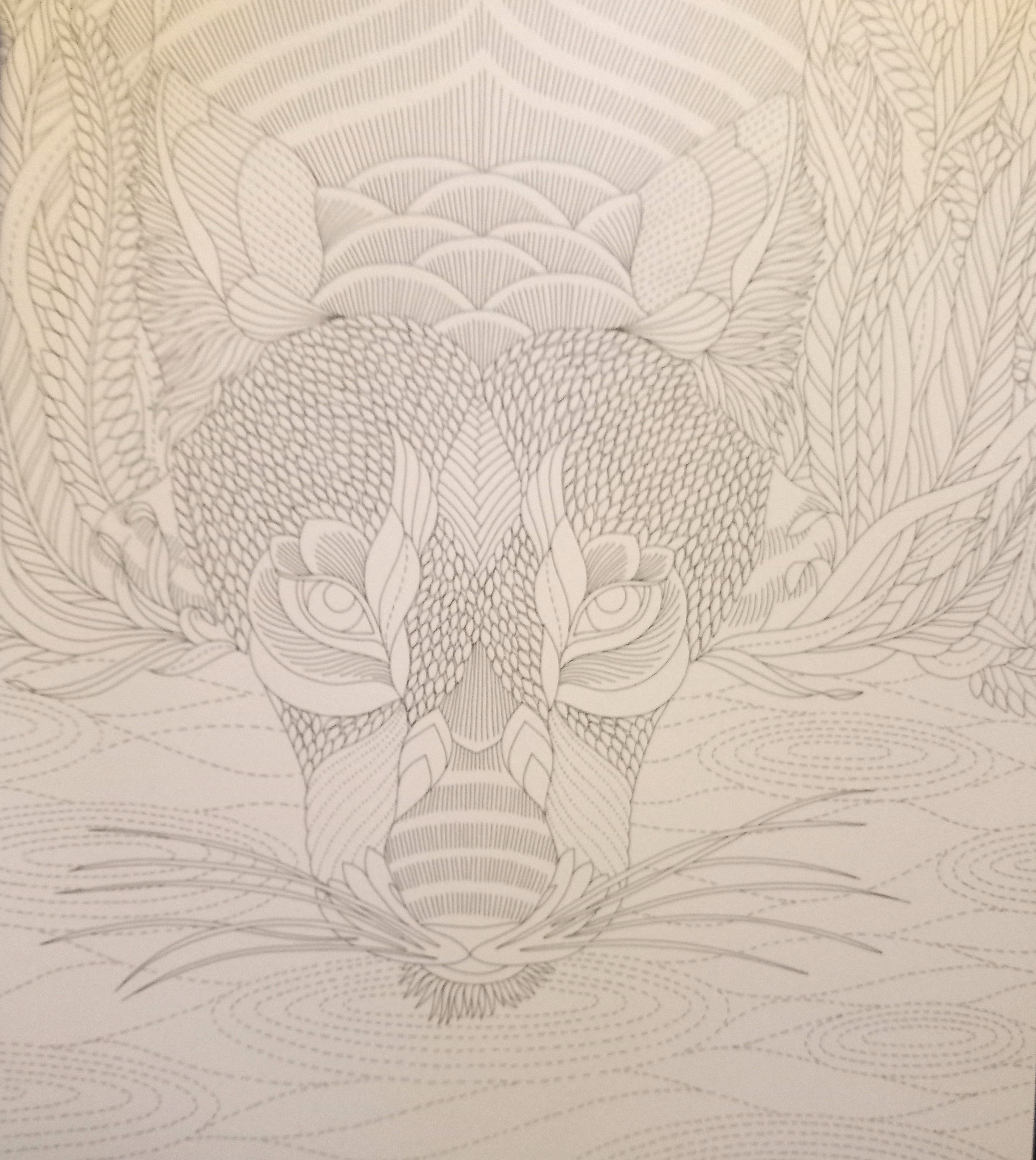 Wild Savannah - ilustrace